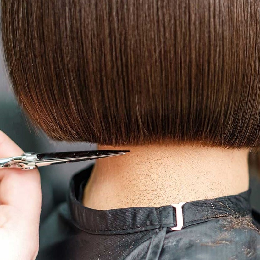 misel-group-salons-signature-cut-1